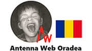 Antenna Web Oradea